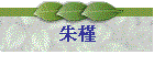 朱槿