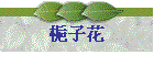 梔子花