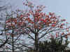 DSCN0815.JPG (141816 個位元組)