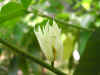 DSCN1533.JPG (74950 個位元組)