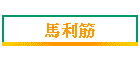 馬利筋