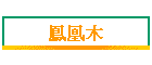 鳳凰木