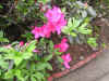DSCN0557.JPG (109731 個位元組)